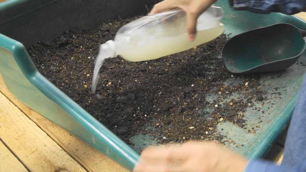 土ごと発酵を促すためにえひめAI(乳酸菌・酵母菌・納豆菌)を入れます